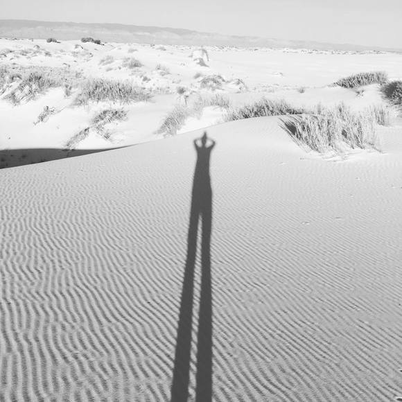 Meet your Posher, Andrew - Picture 1 of 1